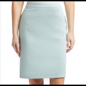EUC Cabi mint skirt
